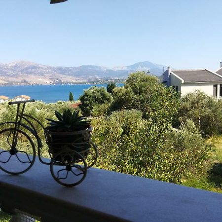 Araucaria Home Ληξούρι Εξωτερικό φωτογραφία